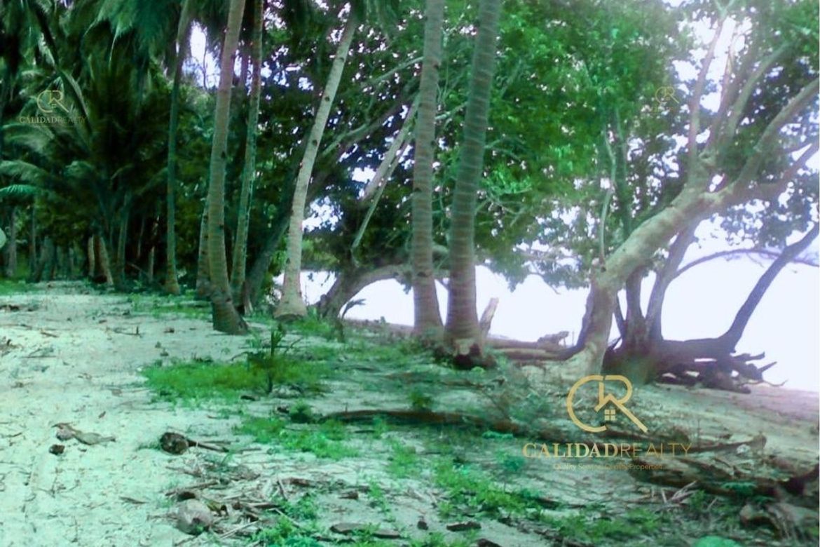 Land for Sale in Poblacion, San Vicente, Palawan – photo 2