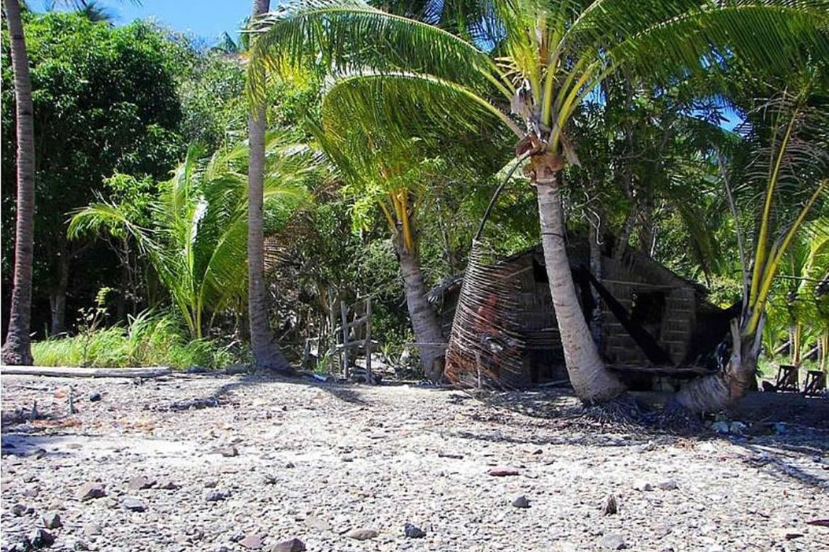 Land for Sale in Poblacion, San Vicente, Palawan – photo 3