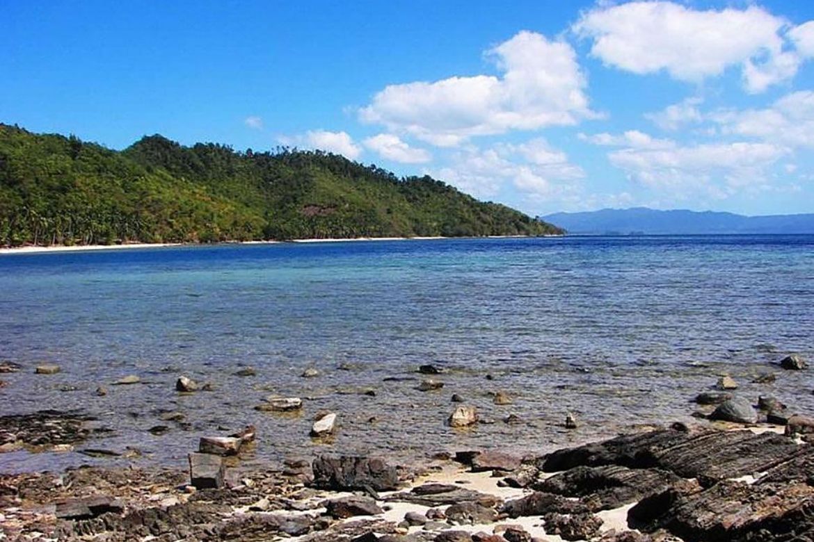Land for Sale in Poblacion, San Vicente, Palawan – photo 4