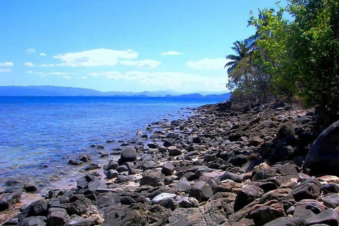 Land for Sale in Poblacion, San Vicente, Palawan – photo 5