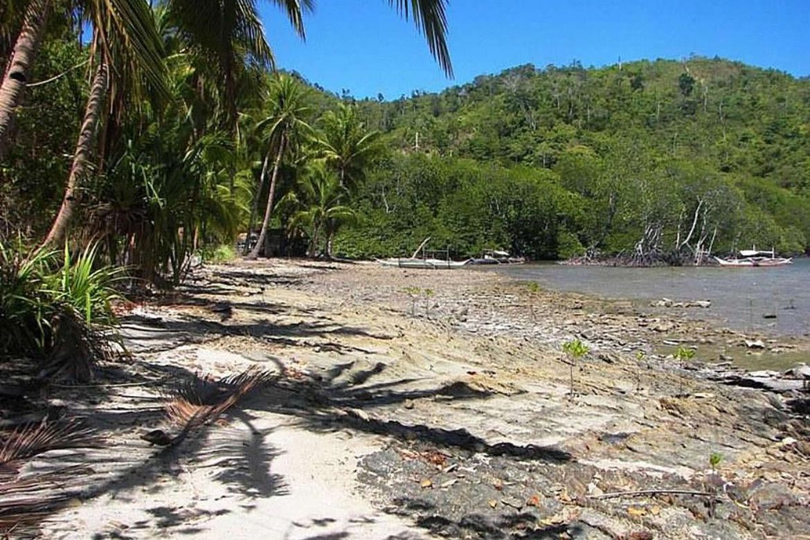 Land for Sale in Poblacion, San Vicente, Palawan – photo 6
