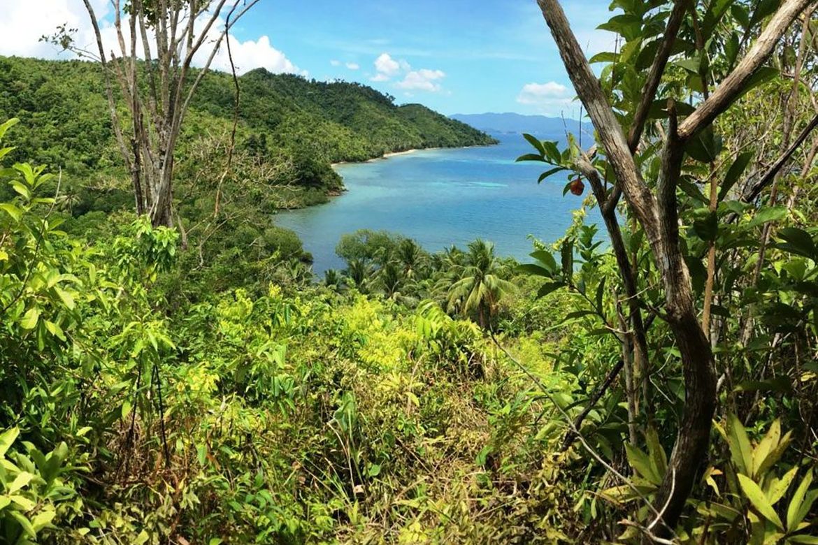 Land for Sale in Poblacion, San Vicente, Palawan – photo 7