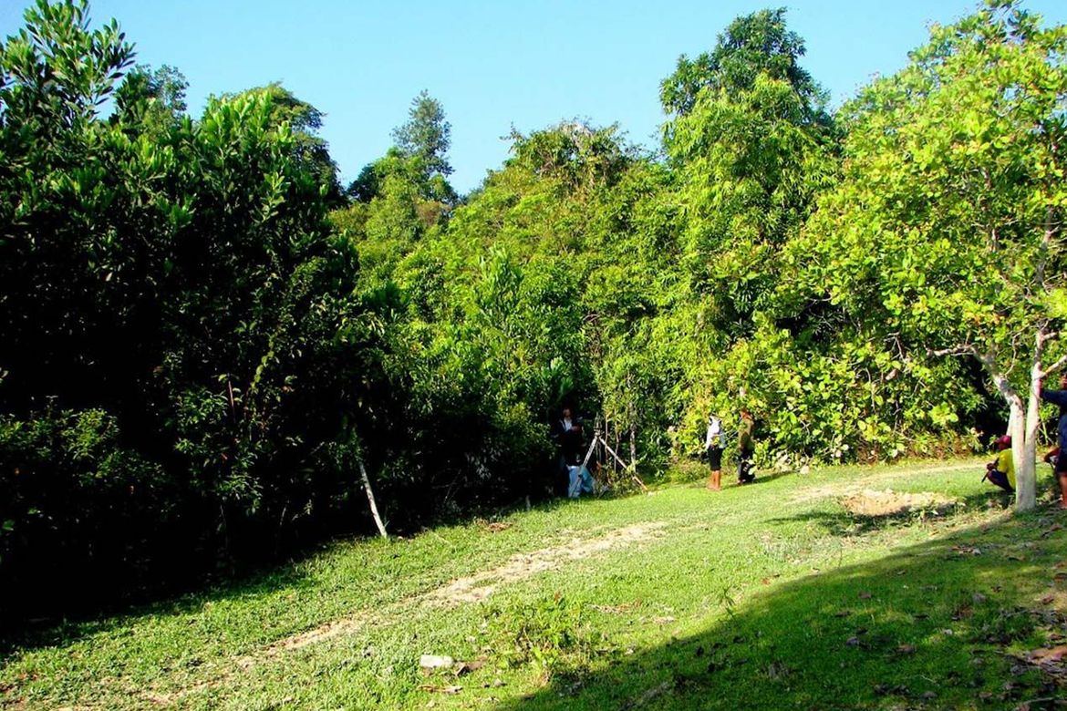 Land for Sale in Poblacion, San Vicente, Palawan – photo 2
