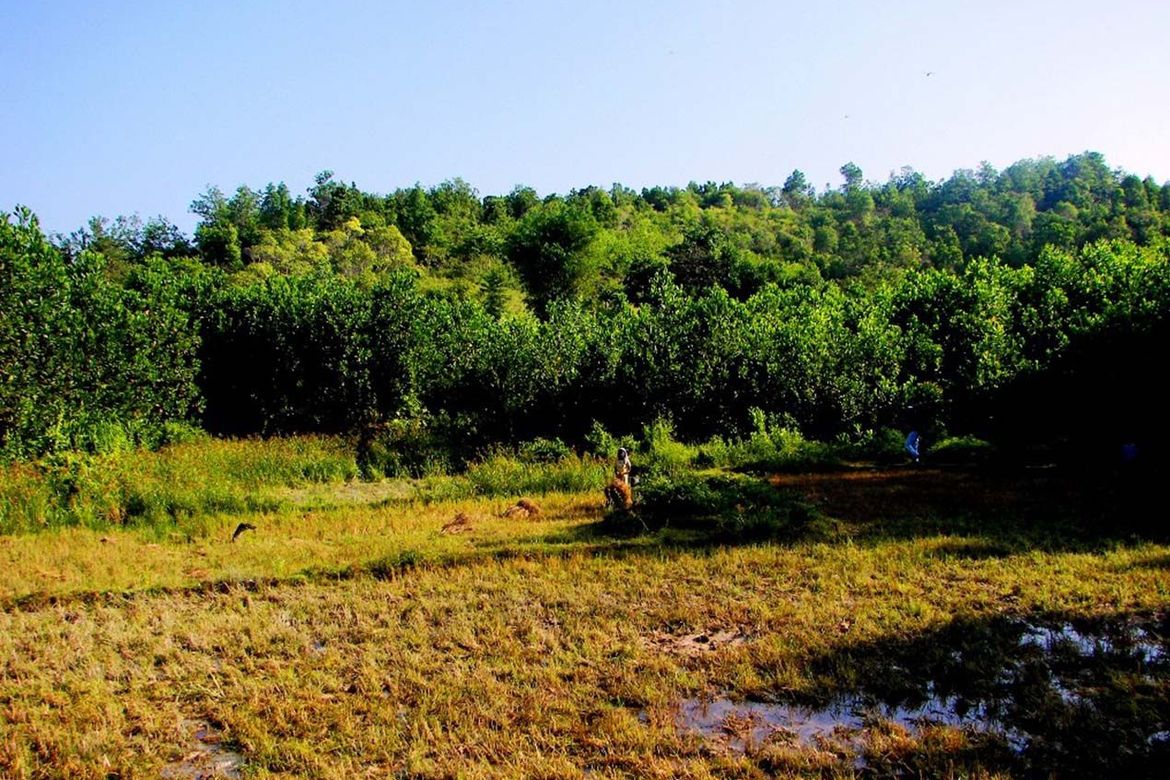 Land for Sale in Poblacion, San Vicente, Palawan – photo 3