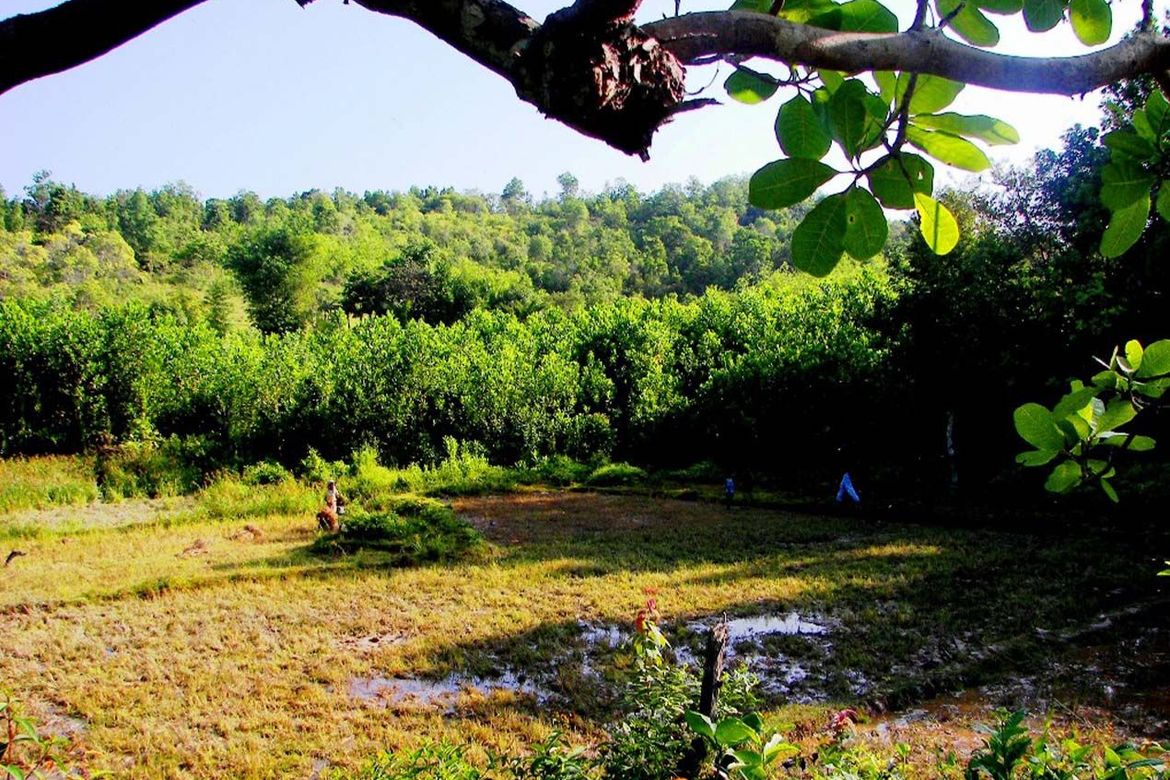 Land for Sale in Poblacion, San Vicente, Palawan – photo 6