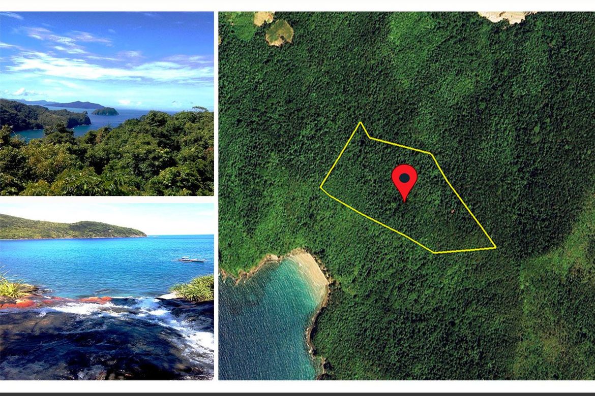Land for Sale in Poblacion, San Vicente, Palawan