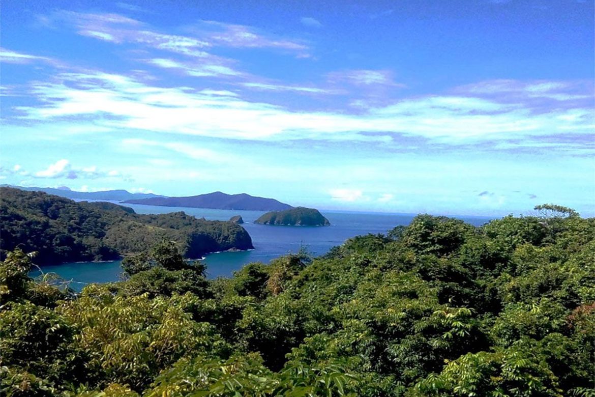Land for Sale in Poblacion, San Vicente, Palawan – photo 2