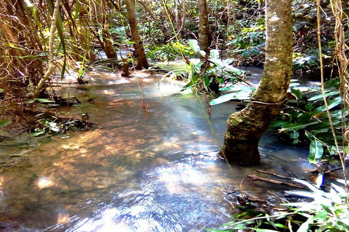 Land for Sale in Poblacion, San Vicente, Palawan – photo 8