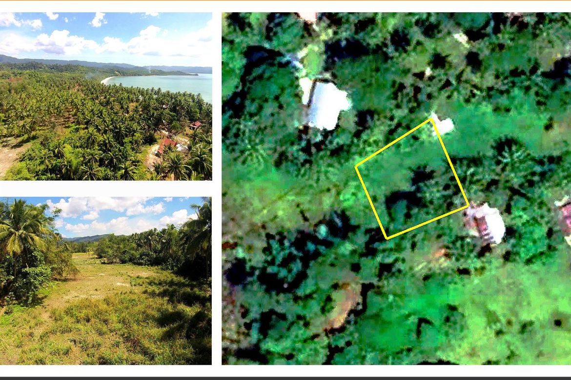 Land for Sale in Poblacion, San Vicente, Palawan