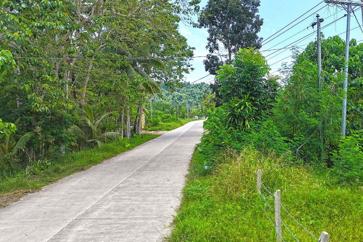 Land for Sale in Poblacion, San Vicente, Palawan – photo 8