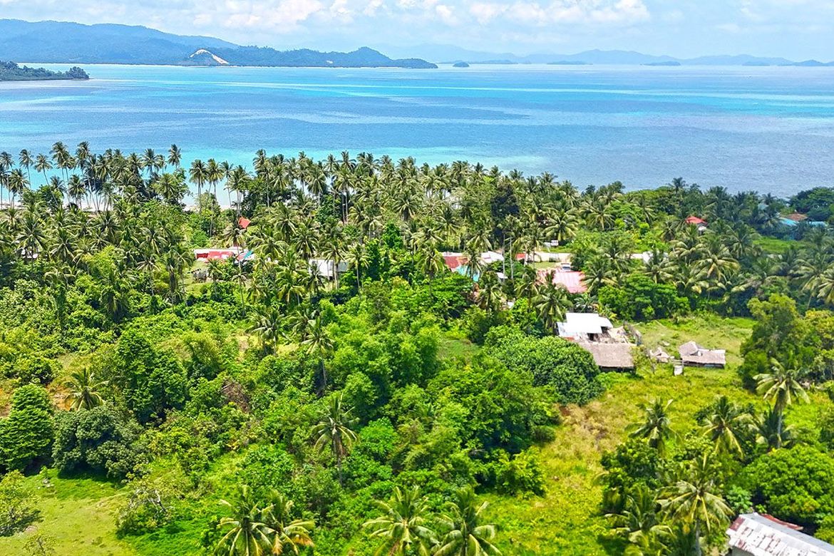 Land for Sale in Poblacion, San Vicente, Palawan – photo 2