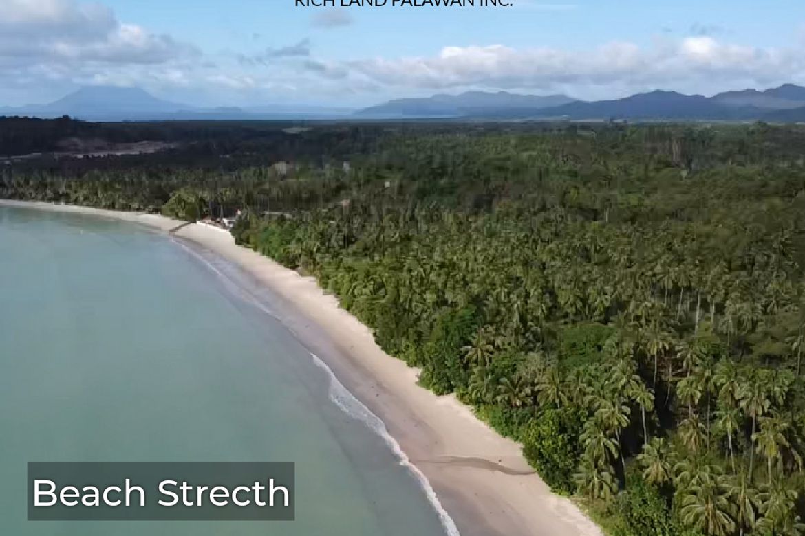 Land for Sale in Poblacion, San Vicente, Palawan – photo 4
