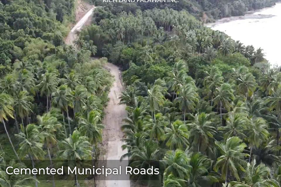 Land for Sale in Poblacion, San Vicente, Palawan – photo 6