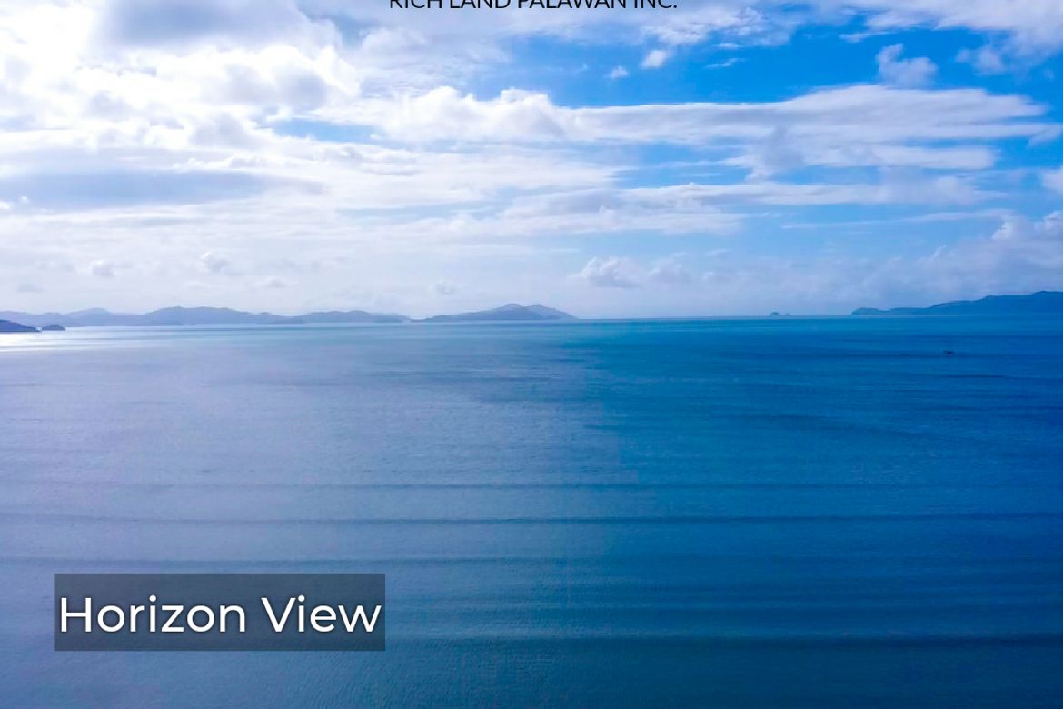 Land for Sale in Poblacion, San Vicente, Palawan – photo 7