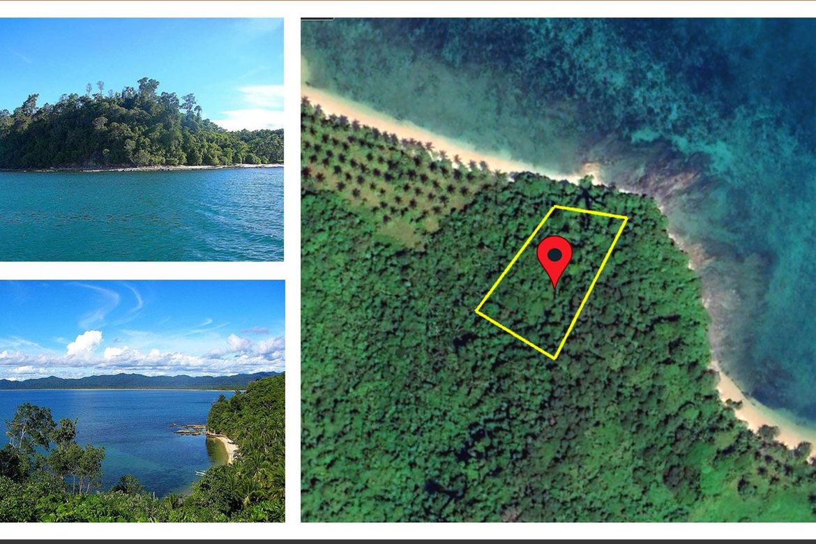 Land for Sale in Poblacion, San Vicente, Palawan