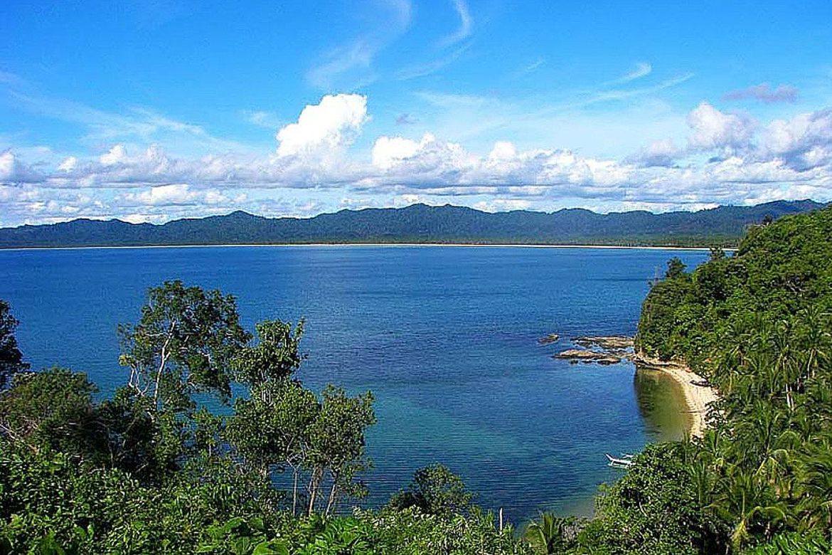 Land for Sale in Poblacion, San Vicente, Palawan – photo 3