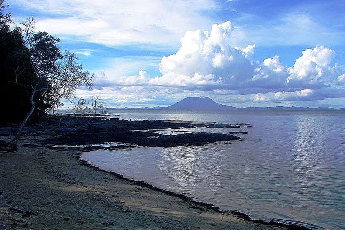 Land for Sale in Poblacion, San Vicente, Palawan – photo 5