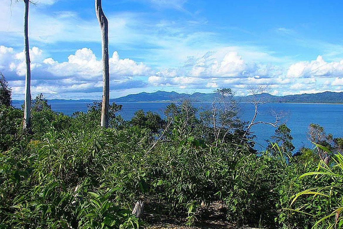 Land for Sale in Poblacion, San Vicente, Palawan – photo 8