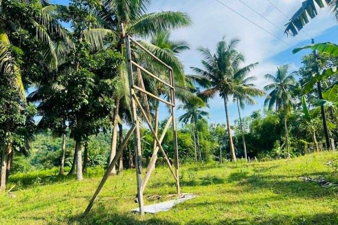 Land for Sale in Poblacion, Sibonga, Cebu – photo 3