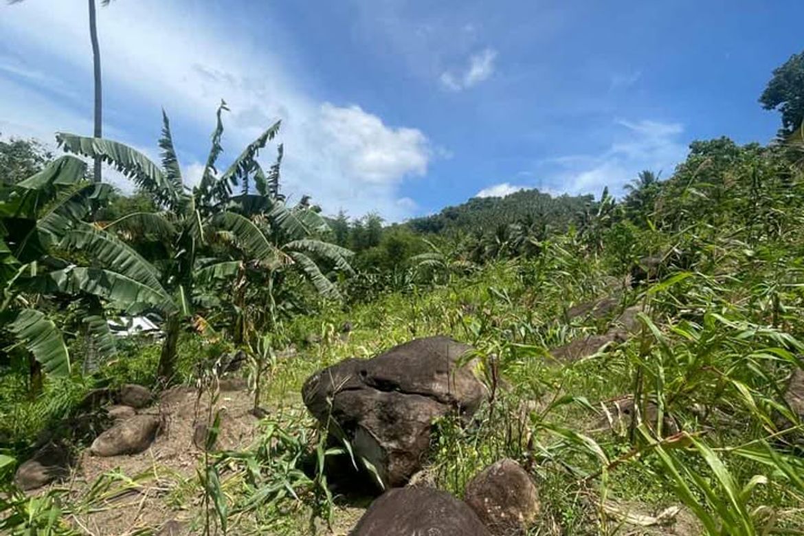Land for Sale in Poblacion, Sibulan, Negros Oriental