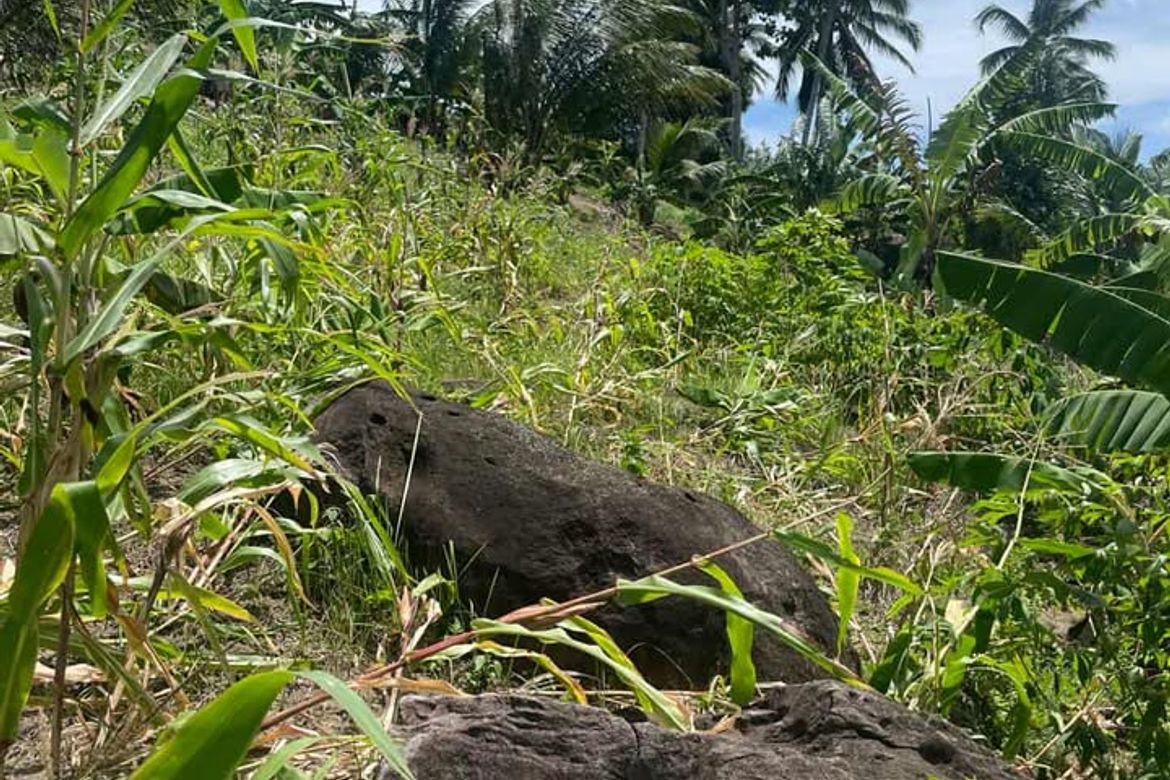 Land for Sale in Poblacion, Sibulan, Negros Oriental – photo 5