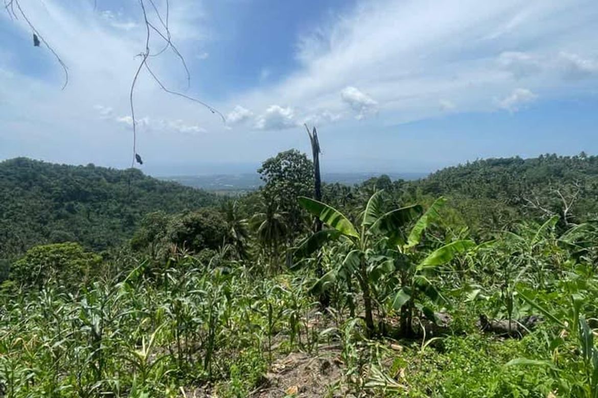 Land for Sale in Poblacion, Sibulan, Negros Oriental – photo 6