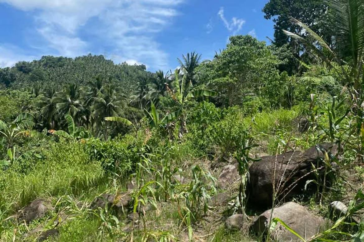 Land for Sale in Poblacion, Sibulan, Negros Oriental – photo 7
