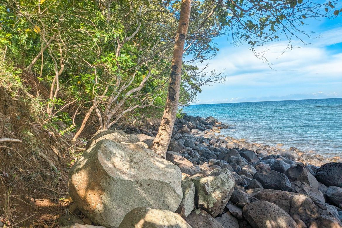 Land for Sale in Poblacion, Sugbongcogon, Misamis Oriental – photo 3