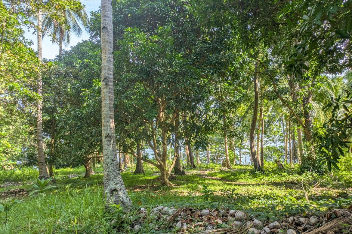 Land for Sale in Poblacion, Sugbongcogon, Misamis Oriental – photo 7
