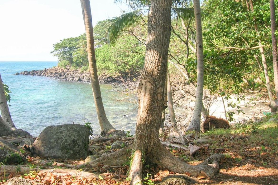 Land for Sale in Poblacion, Sugbongcogon, Misamis Oriental – photo 2