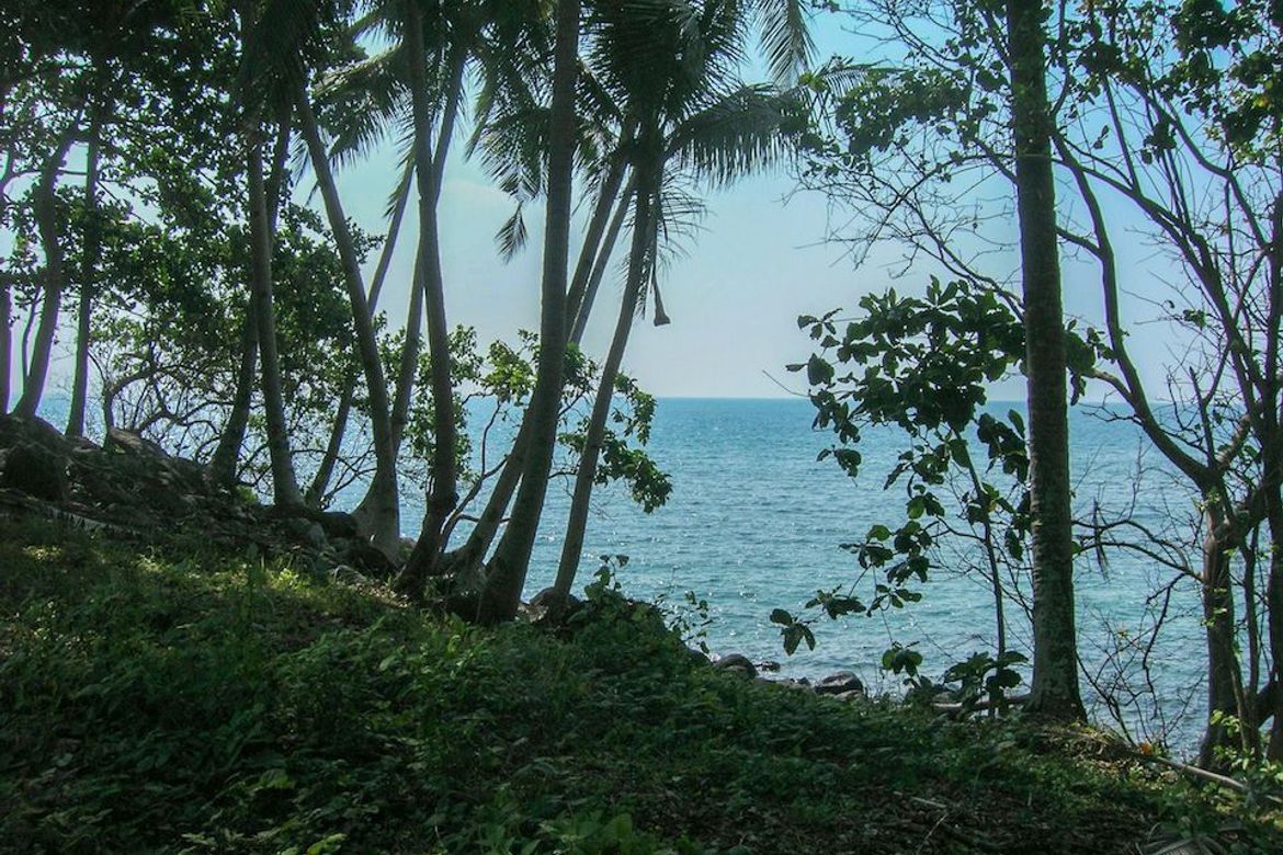 Land for Sale in Poblacion, Sugbongcogon, Misamis Oriental – photo 5
