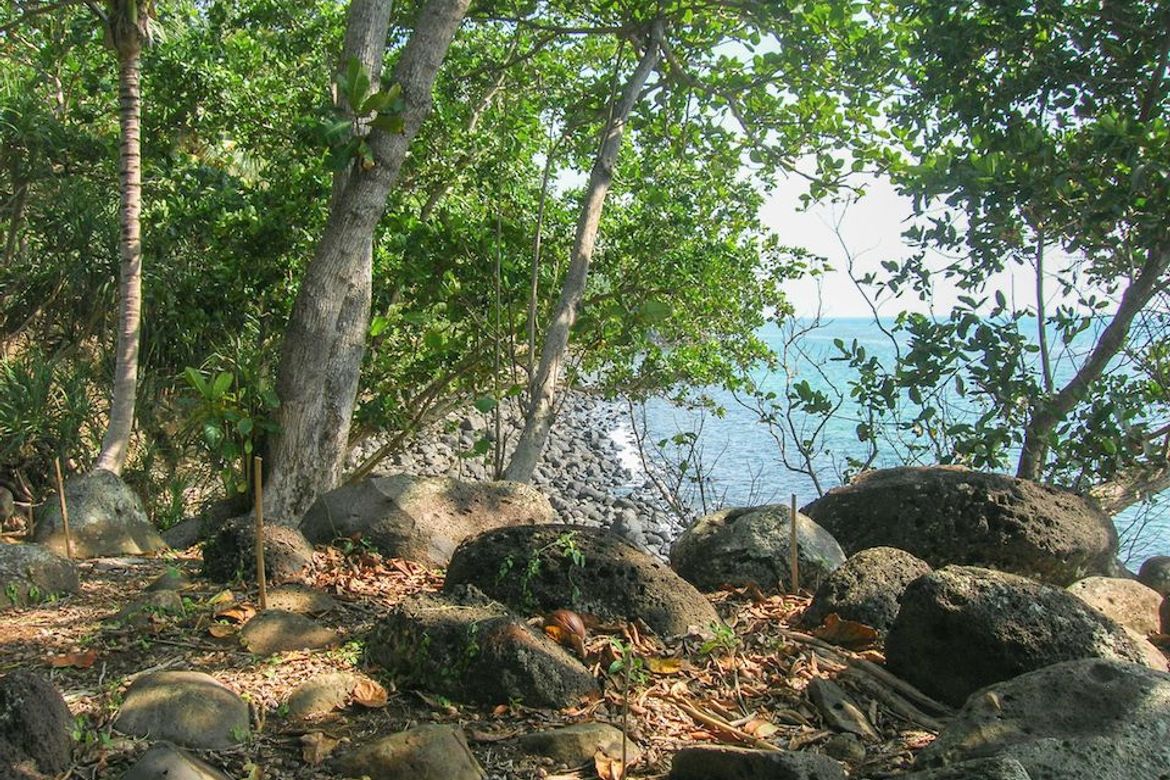 Land for Sale in Poblacion, Sugbongcogon, Misamis Oriental – photo 6