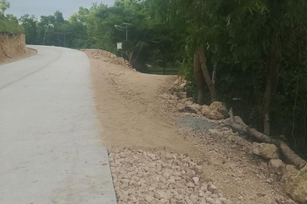 Land for Sale in Poblacion, Tabogon, Cebu – photo 3