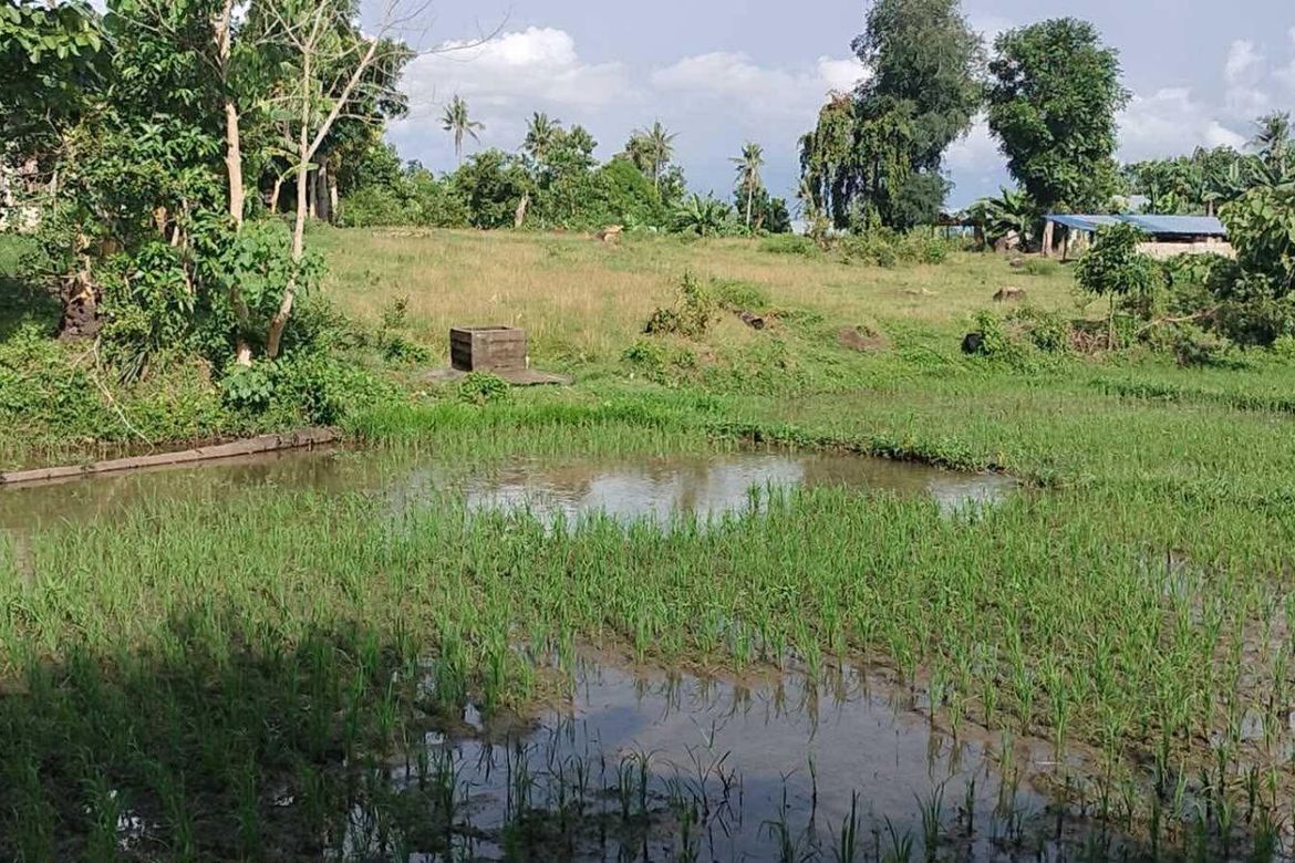 Land for Sale in Poblacion, Talibon, Bohol – photo 5