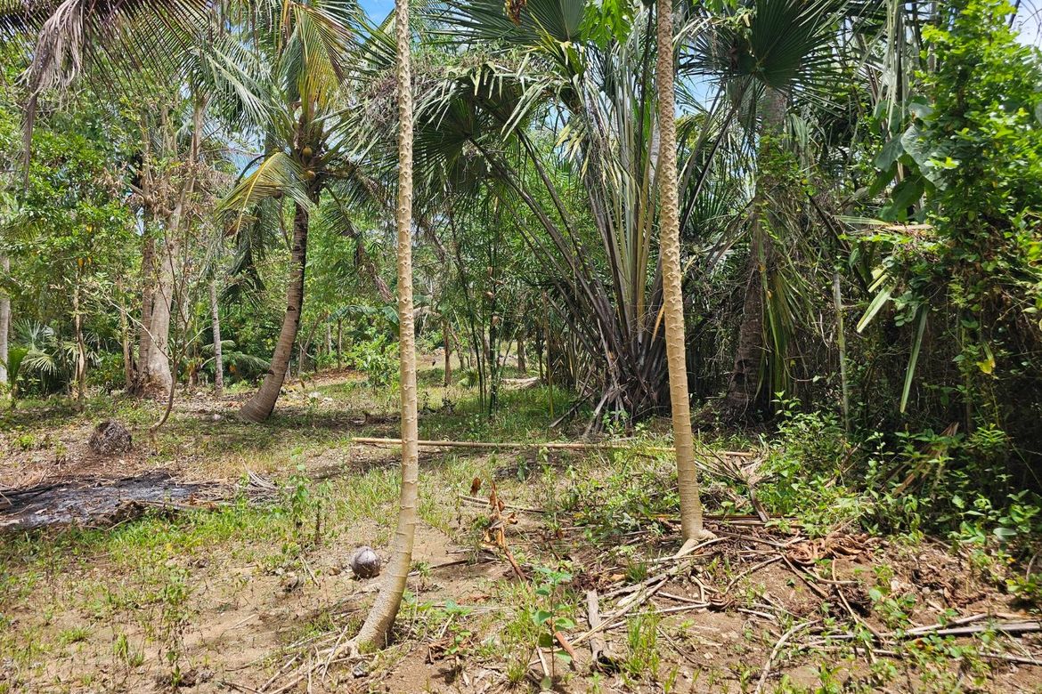 Land for Sale in Poblacion, Talibon, Bohol – photo 2