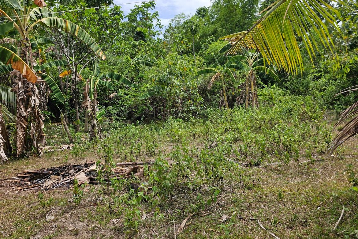 Land for Sale in Poblacion, Talibon, Bohol – photo 4