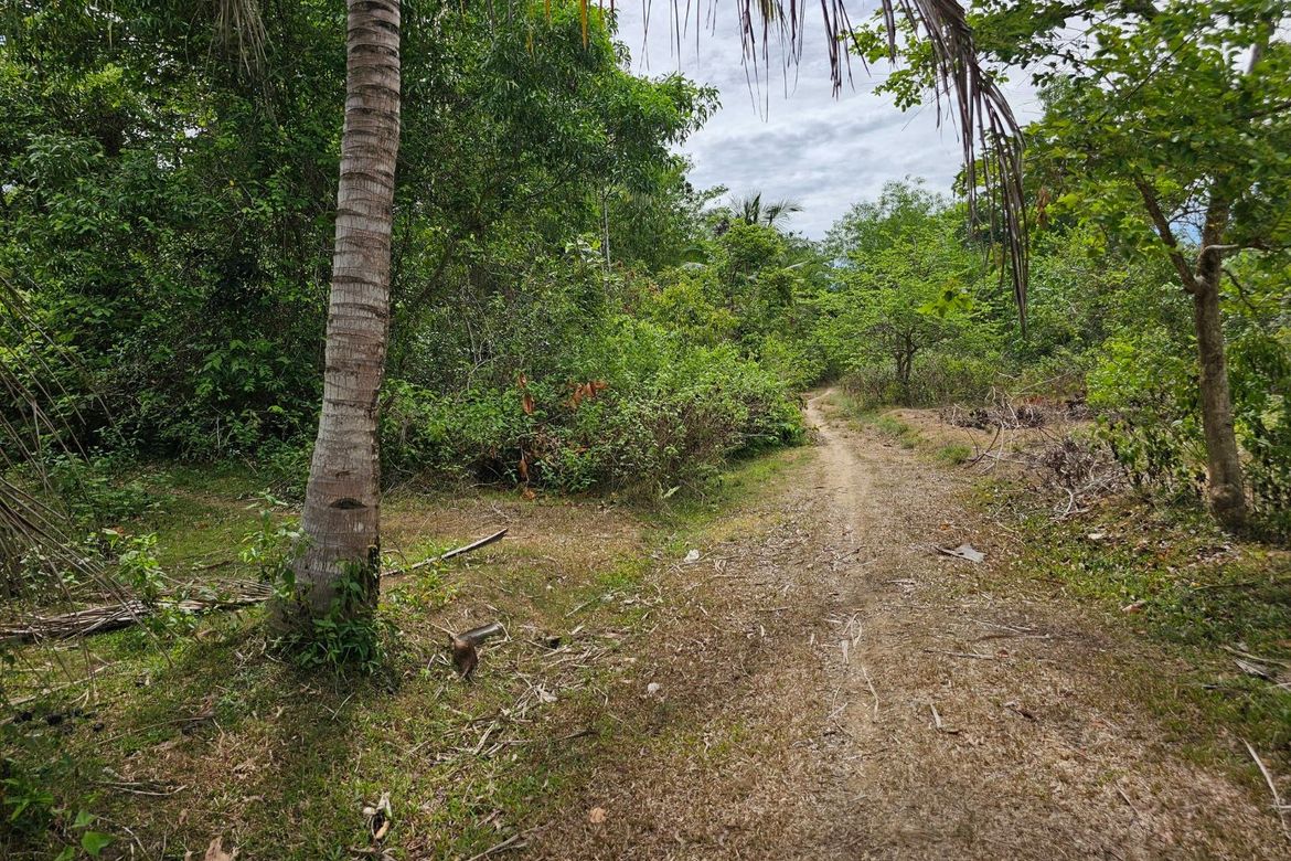 Land for Sale in Poblacion, Talibon, Bohol – photo 6