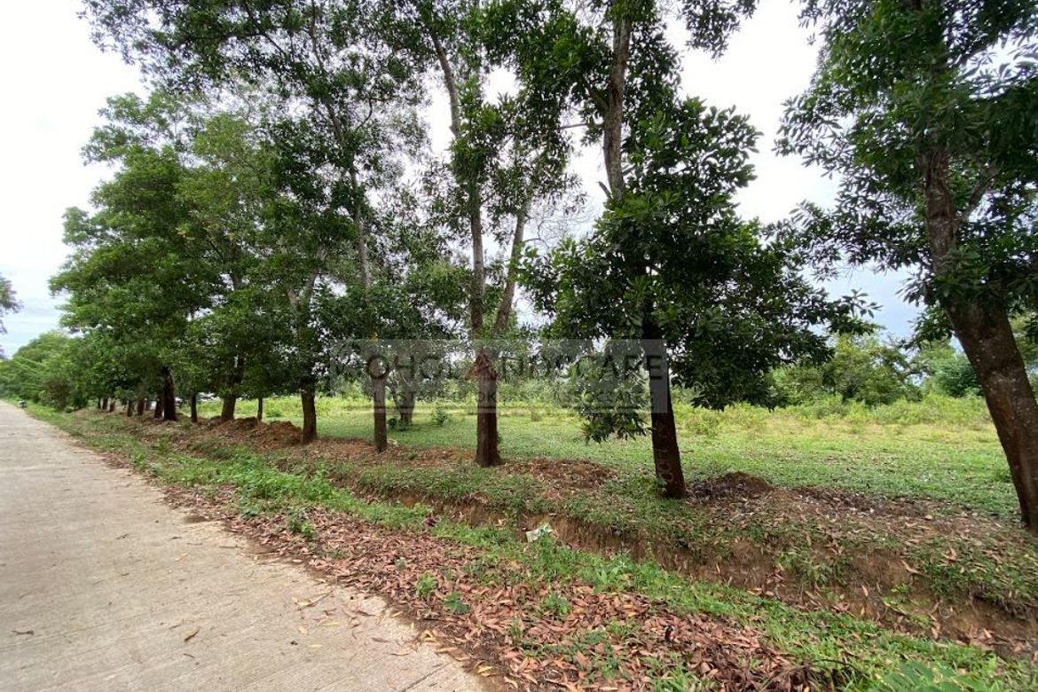 Land for Sale in Poblacion, Talibon, Bohol – photo 3