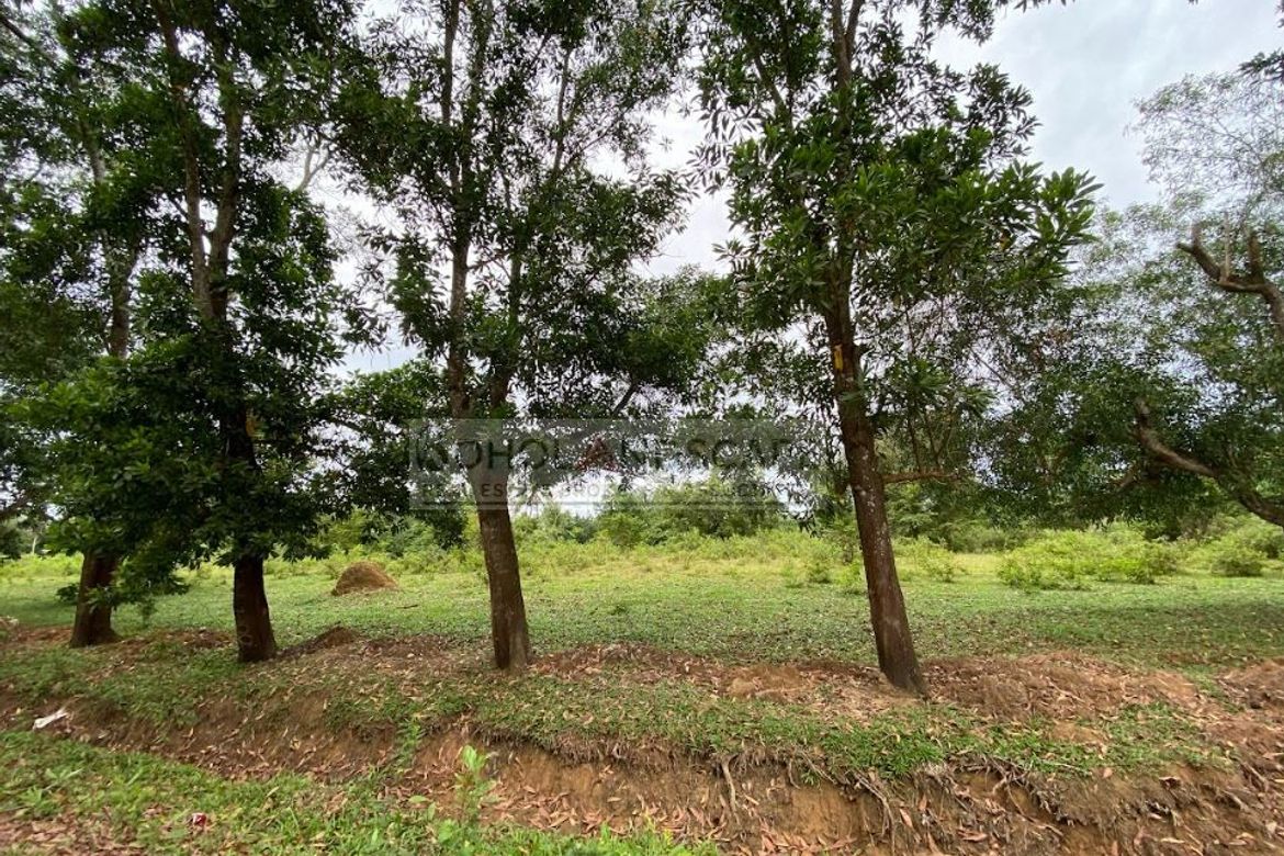 Land for Sale in Poblacion, Talibon, Bohol – photo 4