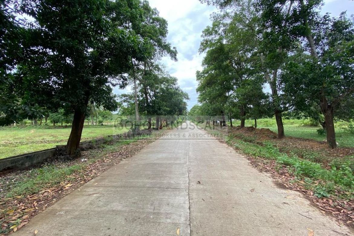 Land for Sale in Poblacion, Talibon, Bohol – photo 5