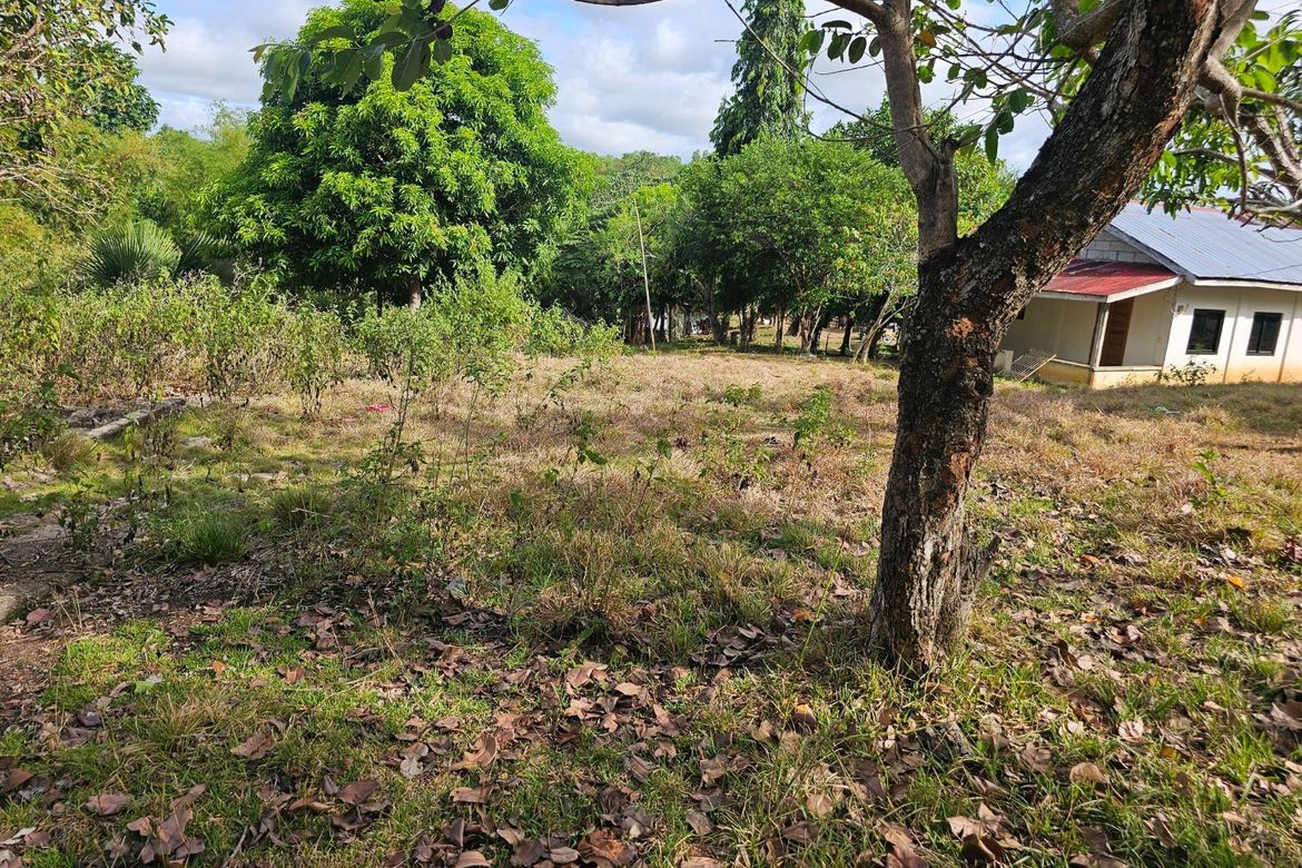 Land for Sale in Poblacion, Talibon, Bohol – photo 3