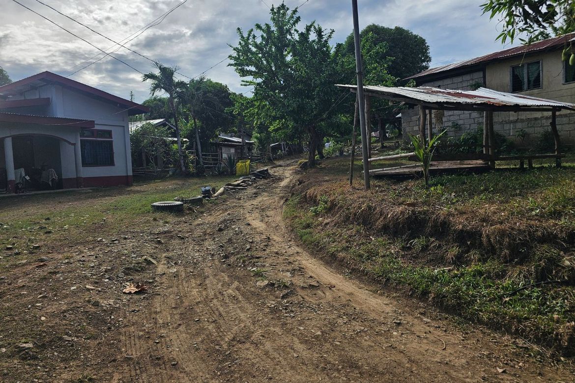 Land for Sale in Poblacion, Talibon, Bohol – photo 6