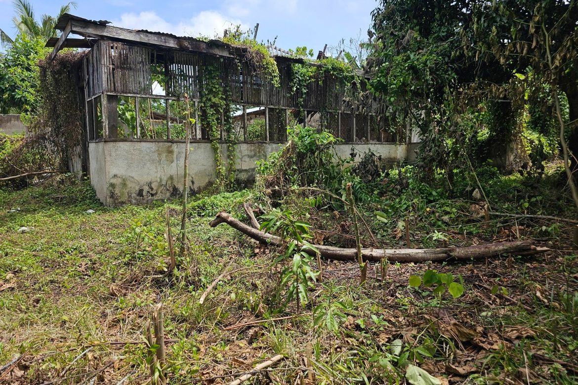 Land for Sale in Poblacion, Talibon, Bohol – photo 3