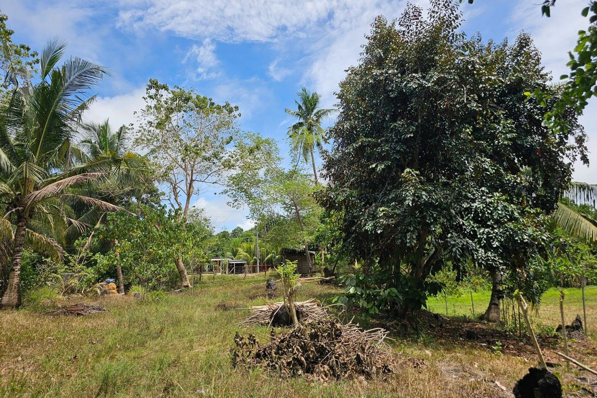Land for Sale in Poblacion, Talibon, Bohol – photo 5