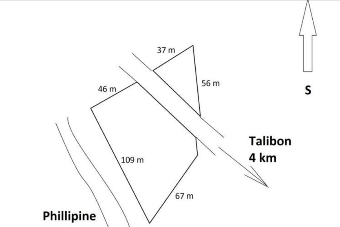 Land for Sale in Poblacion, Talibon, Bohol – photo 3