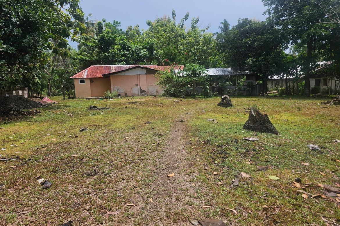 Land for Sale in Poblacion, Talibon, Bohol – photo 3
