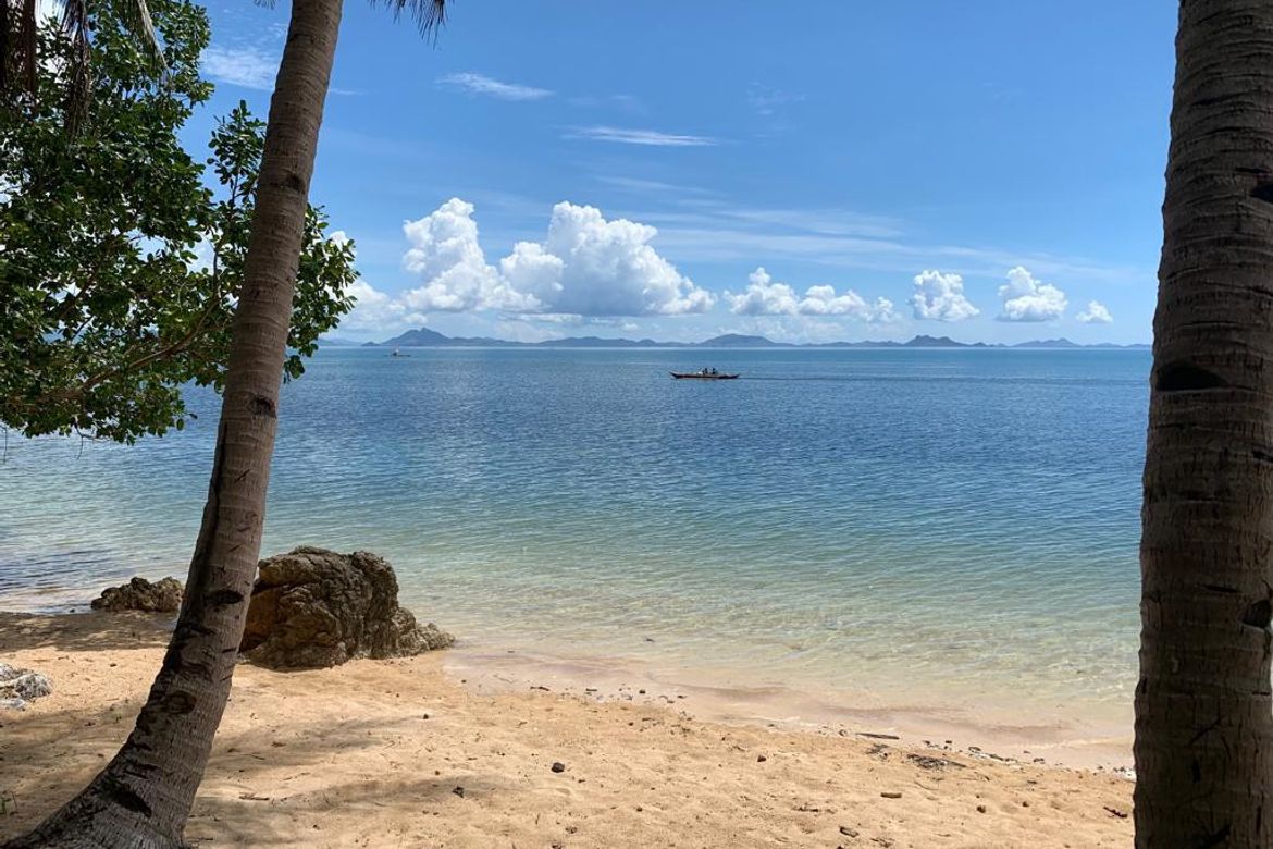 Land for Sale in Poblacion, Taytay, Palawan