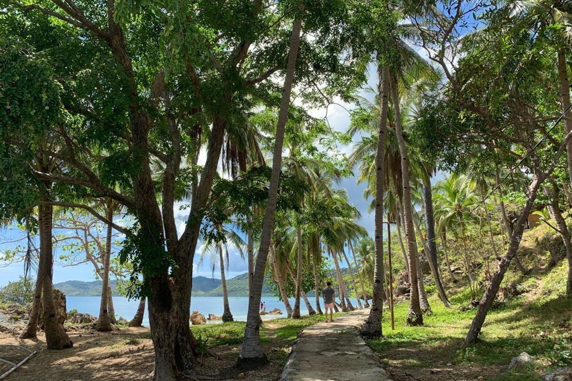 Land for Sale in Poblacion, Taytay, Palawan – photo 4