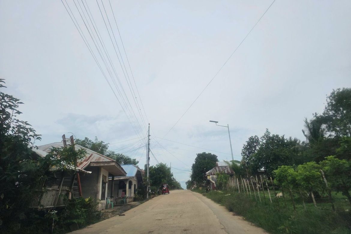 Land for Sale in Poblacion, Trinidad, Bohol – photo 4