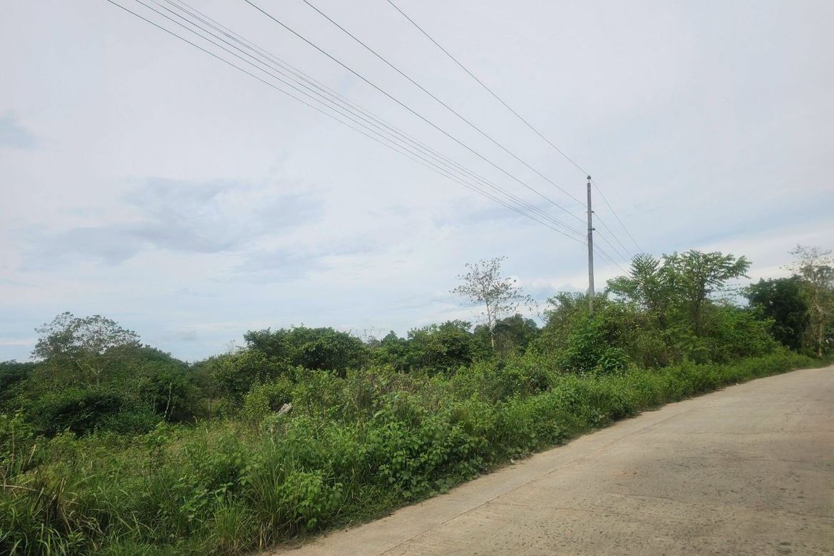Land for Sale in Poblacion, Trinidad, Bohol – photo 5